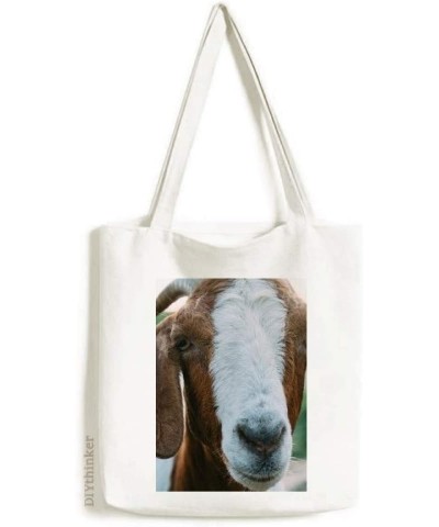 Terrestrial Organism Sheep Animal Photography Tote Canvas Bag Shopping Satchel Casual Handbag $16.11 Totes