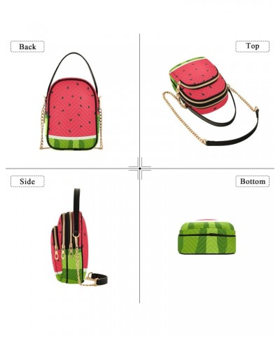 Small Cross body Bags for Women Watermelon Fruits Quilted Crossbody Cell Phone Shoulder Purse Handbags Wallet Detachable Chai...