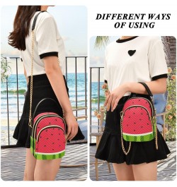 Small Cross body Bags for Women Watermelon Fruits Quilted Crossbody Cell Phone Shoulder Purse Handbags Wallet Detachable Chai...