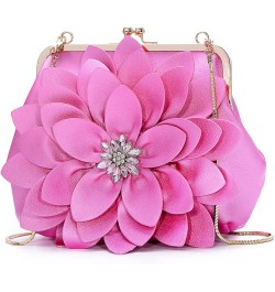 Women's Evening Clutches Handbags Formal Party Wallets Wedding Purses Wristlets Ethnic Totes Satchel 8619-rose Red $30.15 Eve...