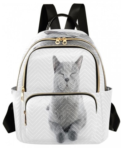 British Shorthair Cat Fashion Backpack Purse Ladies Fashion Rucksack Travel Shoulder Bag Casual Daily Backpack Small $18.86 B...