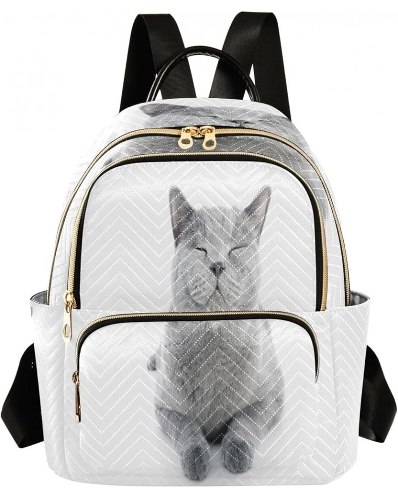 British Shorthair Cat Fashion Backpack Purse Ladies Fashion Rucksack Travel Shoulder Bag Casual Daily Backpack Small $18.86 B...