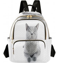 British Shorthair Cat Fashion Backpack Purse Ladies Fashion Rucksack Travel Shoulder Bag Casual Daily Backpack Small $18.86 B...