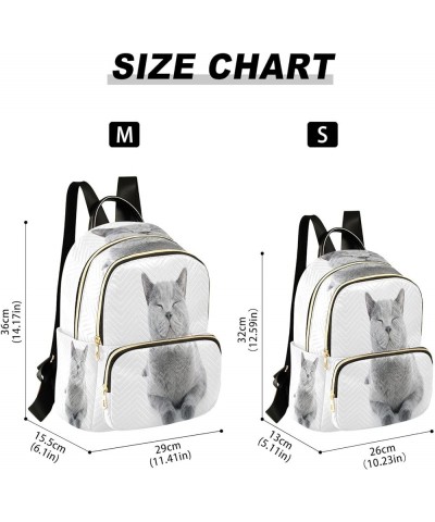 British Shorthair Cat Fashion Backpack Purse Ladies Fashion Rucksack Travel Shoulder Bag Casual Daily Backpack Small $18.86 B...