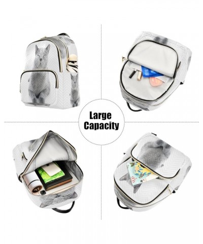 British Shorthair Cat Fashion Backpack Purse Ladies Fashion Rucksack Travel Shoulder Bag Casual Daily Backpack Small $18.86 B...