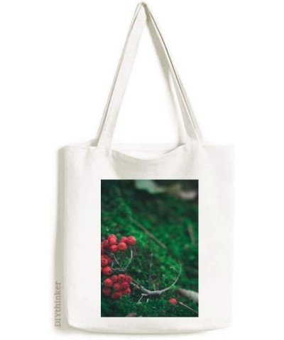 Red Fruit Forestry Science Nature Scenery Tote Canvas Bag Shopping Satchel Casual Handbag $15.19 Totes