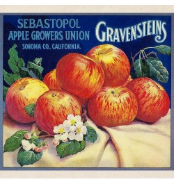 Poison Apple Tote Bag Natural Canvas Tote Bag, Cloth Shopping Bag Sebastopol Gravensteins Apple Vintage Label Tote $9.27 Trav...