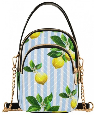 Lemons Crossbody Bags for Women Cross Body Bags Travel Passport Wallet Bag with Chain Strap for Travel $10.40 Crossbody Bags